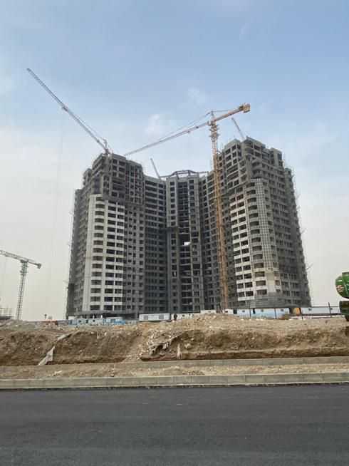 شمیم رحمت ۳/نخل/هوافضا