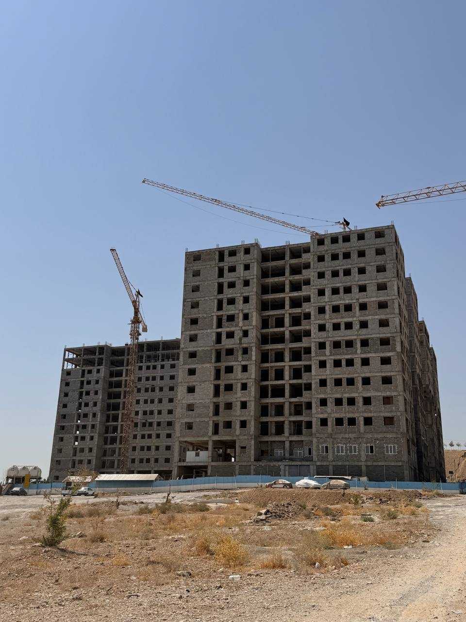 گل نرگس بانک کشاورزی 