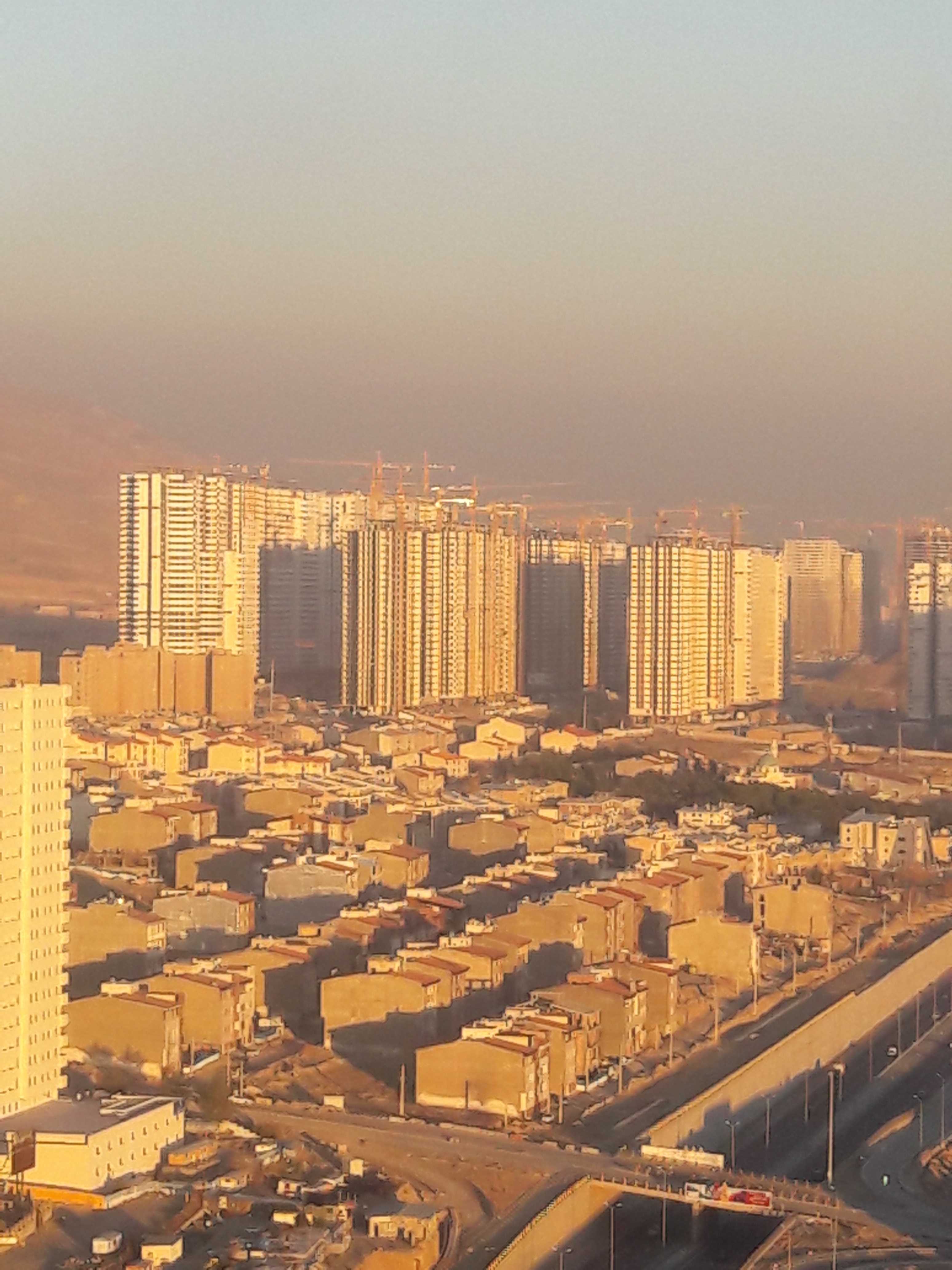 بورس پیش فروش دیوان عدالت خرید رونیکا